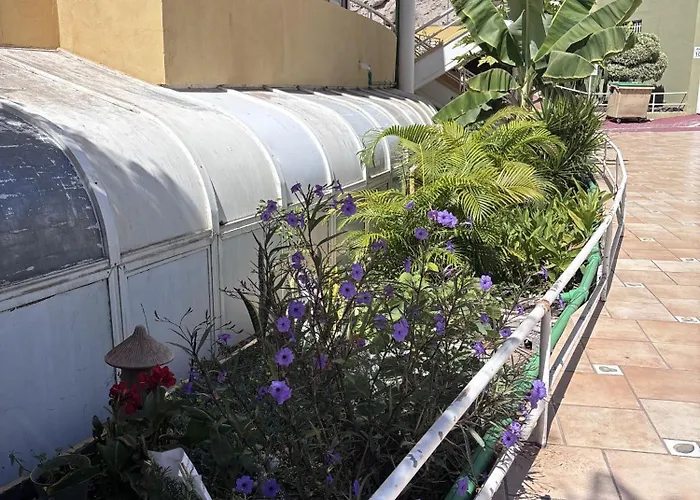 Sea & Pool Hideaway Apartment *